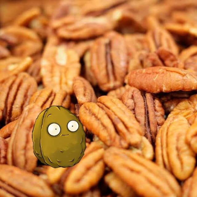 Nuez de Castilla